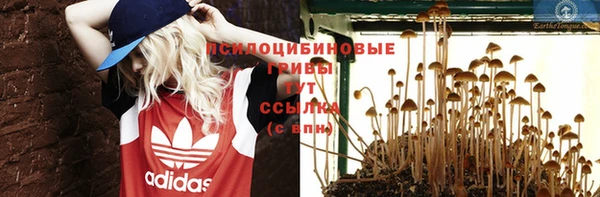 кокаин перу Михайлов