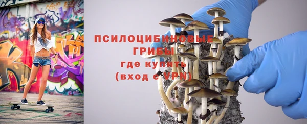 кокаин перу Михайлов