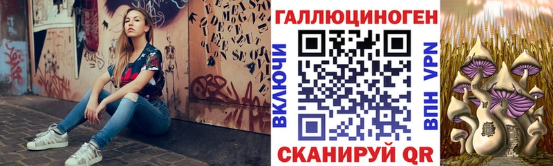 Галлюциногенные грибы Psilocybe Купить где Среднеуральск